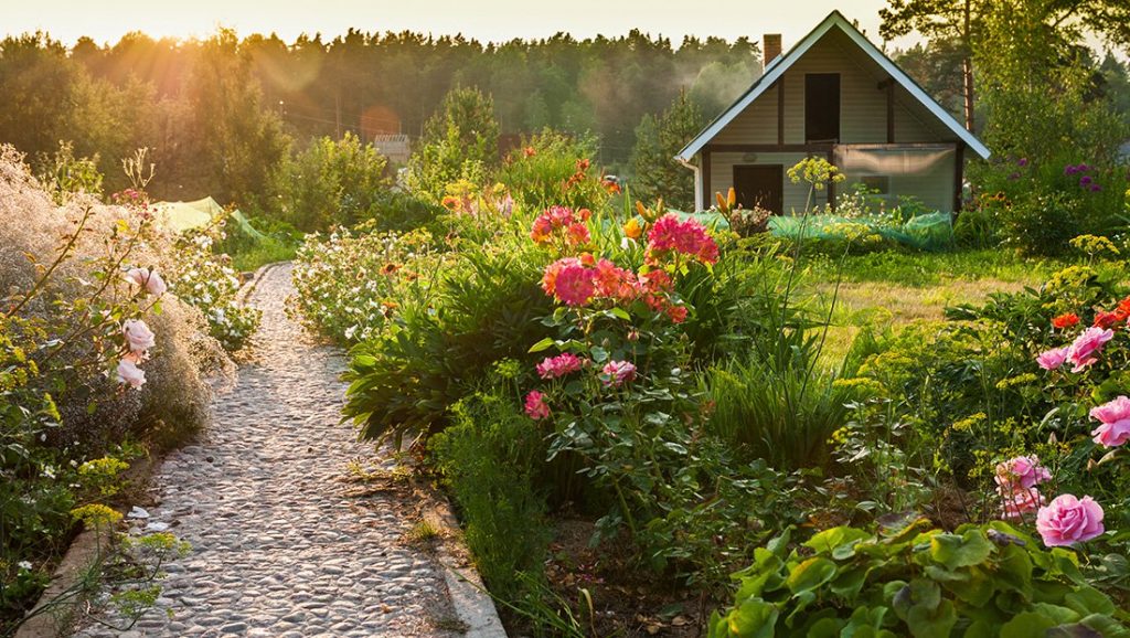 Landscaping and Gardening Without Breaking the Bank